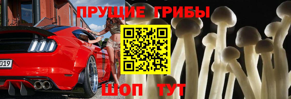 Галлюциногенные грибы Psilocybe  Вход с VPN  Шахты 